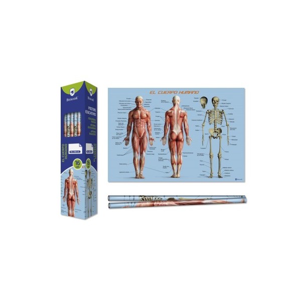 Poster Bismark cuerpo humano 70x100