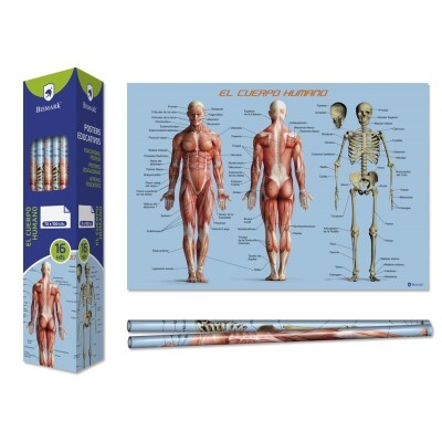 Poster Bismark cuerpo humano 70x100
